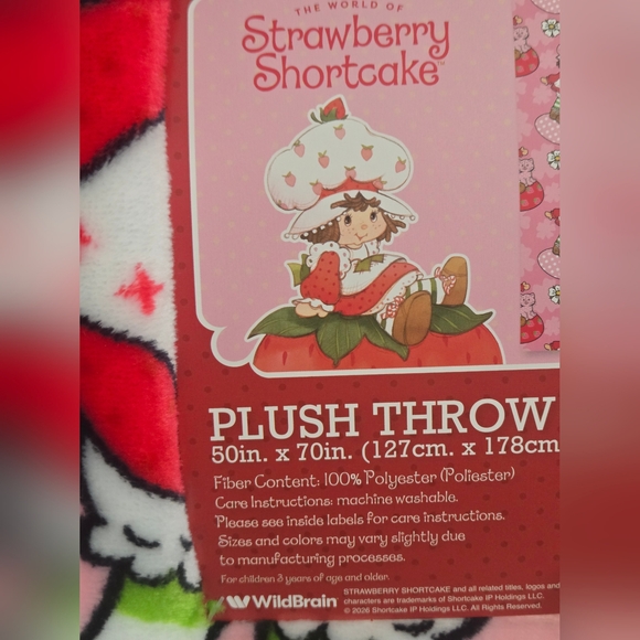 Strawberry Shortcake Pink Blanket - Picture 4 of 5